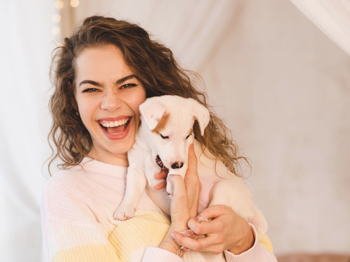 Urinalysis for Pets How AtHome Urine Testing Can Benefit Your Pet’s